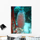 Coral Reef Wall Decal Design 1
