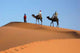 Camel Caravan Sahara Desert Wall Decal Design 2
