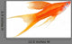 Hi Fin Lyretail Swordtail Wall Decal
