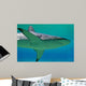 Shark Wall Decal Design 1