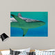 Shark Wall Decal Design 1