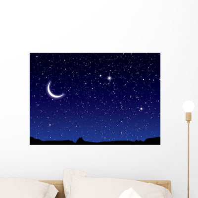 Space Landscape Moon shown on a wall
