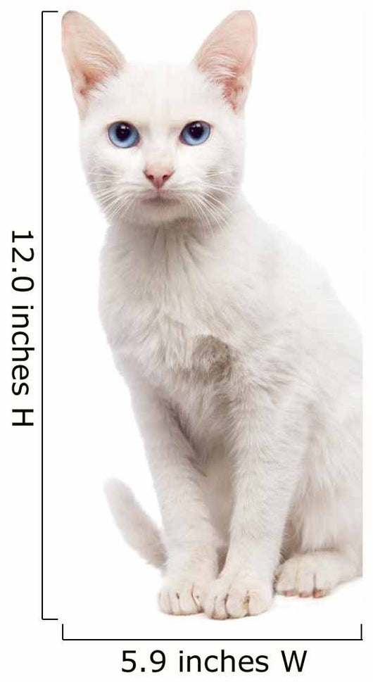 Domestic Cat Ankara cat - Turkish Cat Wall Decal