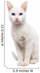 Domestic Cat Ankara cat - Turkish Cat Wall Decal
