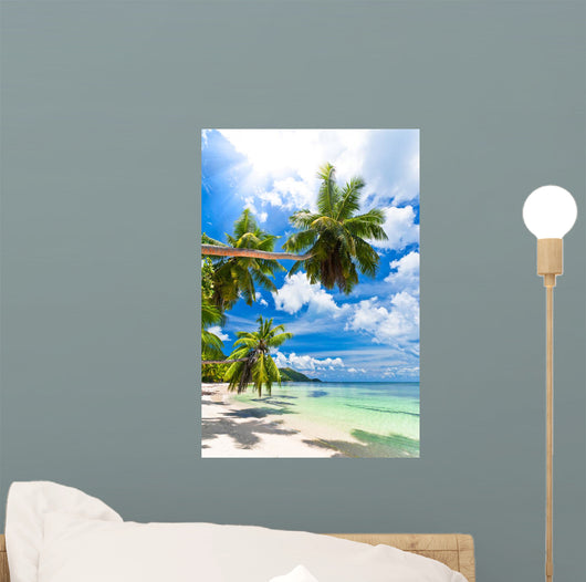 Seychelles beach coconut Wall Mural