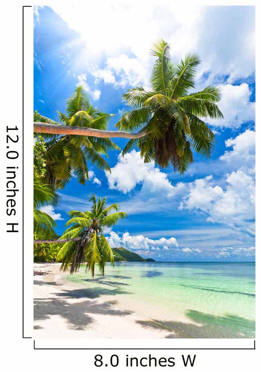 Seychelles beach coconut Wall Mural