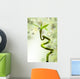 Lucky Bamboo Wall Mural