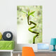 Lucky Bamboo Wall Mural