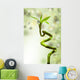 Lucky Bamboo Wall Mural