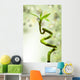 Lucky Bamboo Wall Mural