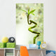 Lucky Bamboo Wall Mural