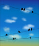 birds on the wires Wall Mural