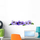 Pansy Border