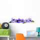 Pansy Border