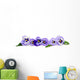 Pansy Border