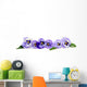 Pansy Border