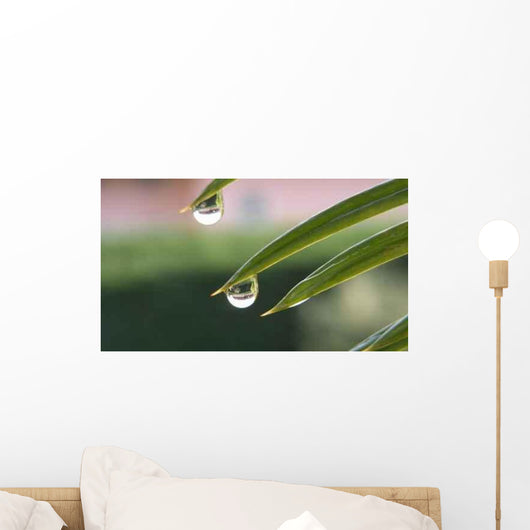 Goccia Wall Decal
