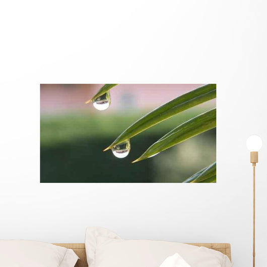 Goccia Wall Decal