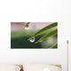 Goccia Wall Decal