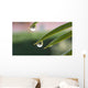 Goccia Wall Decal