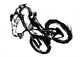 Mountain biking Wall Decal