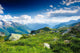 Mountain Panorama from Fiescheralp
