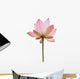 Pink Color Water Lilly Flower Wall Decal