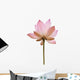 Pink Color Water Lilly Flower Wall Decal