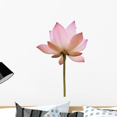 Pink Color Water Lilly Wall Decal shown on a wall