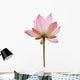 Pink Color Water Lilly Flower Wall Decal