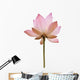 Pink Color Water Lilly Flower Wall Decal