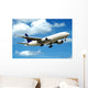 Commercial Airline Wall Mural