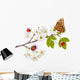 Cherry Tree Flowers Bugs Wall Mural