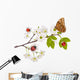 Cherry Tree Flowers Bugs Wall Mural