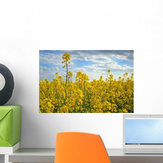 Canola Wall Decal