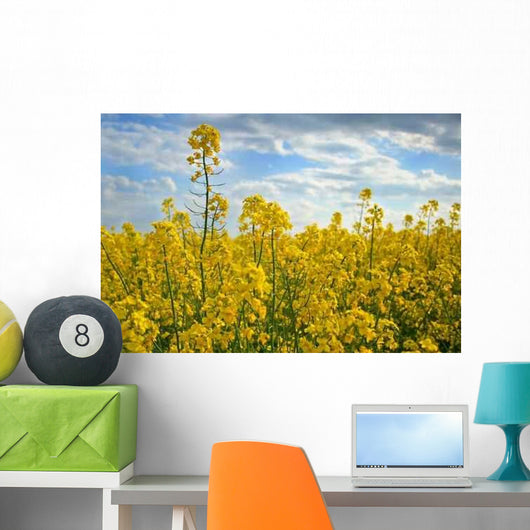 Canola Wall Decal