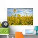 Canola Wall Decal
