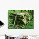 Wood Pile Wall Decal