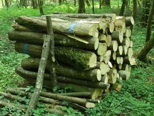 Wood Pile Wall Decal