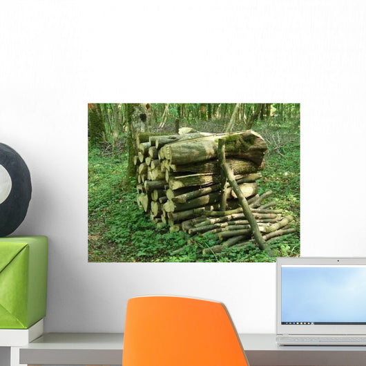 Stere Bois Wall Decal
