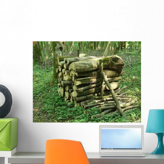 Stere Bois Wall Decal