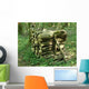 Stere Bois Wall Decal