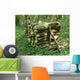 Stere Bois Wall Decal