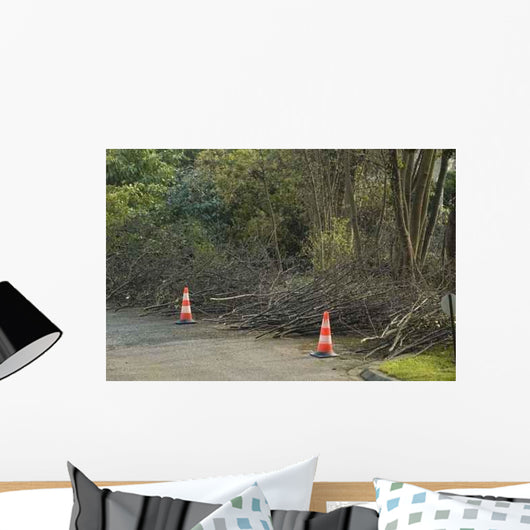 Size Trees Wall Decal