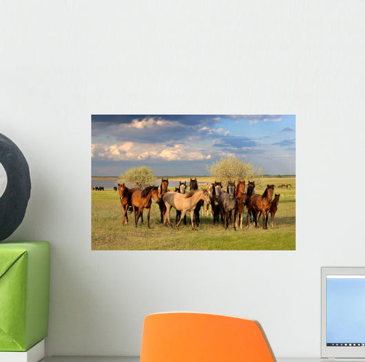 Horses