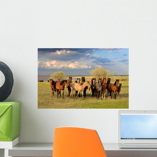 Horses