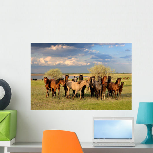 Horses