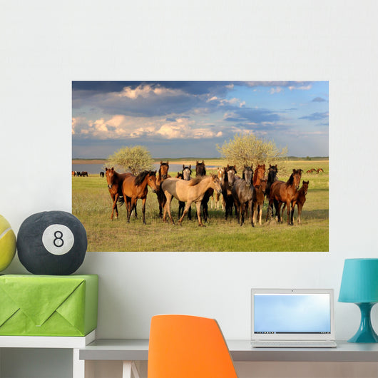 Horses