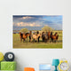 Horses