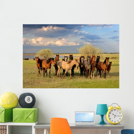 Horses